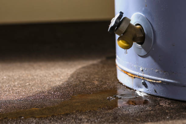 Best Flood restoration services  in Lompoc, CA