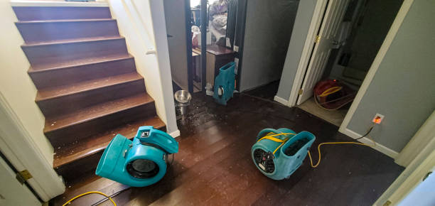 Best Carpet water damage restoration  in Lompoc, CA