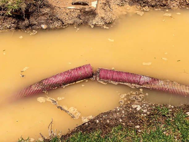 Best 24-hour water damage restoration  in Lompoc, CA
